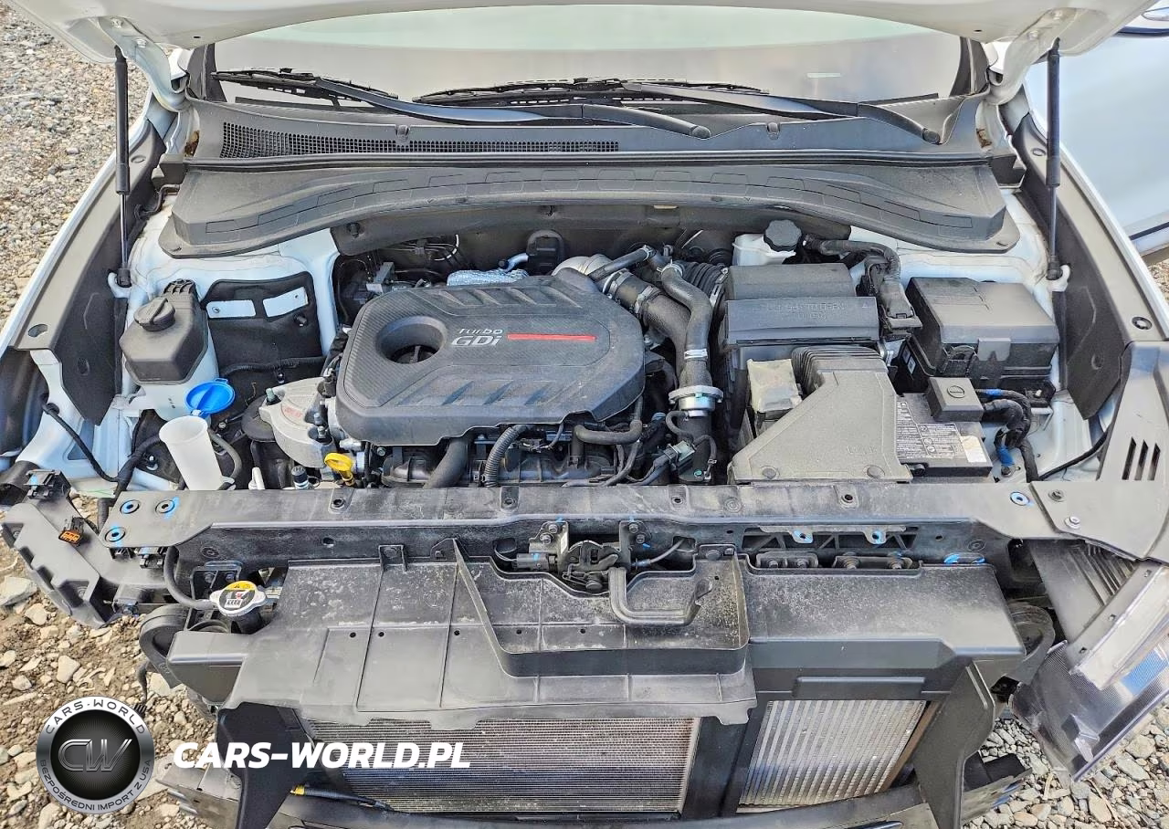 2020 Hyundai Santa Fe Sel 2.0T VIN:5NMS3CAA8LH281364 - 12