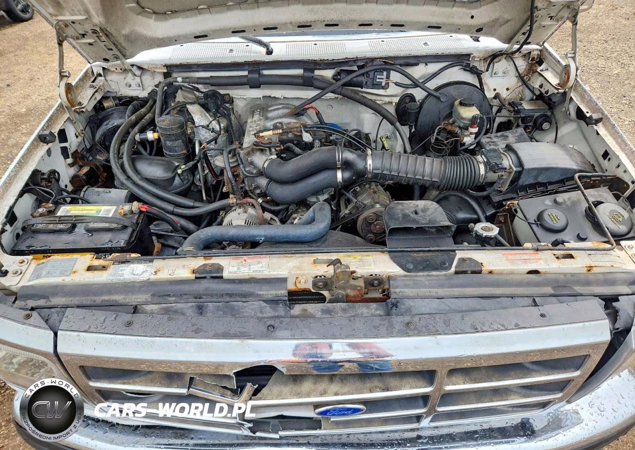 1996 Ford F150 VIN:1FTEF15NXTLA82501 - 11