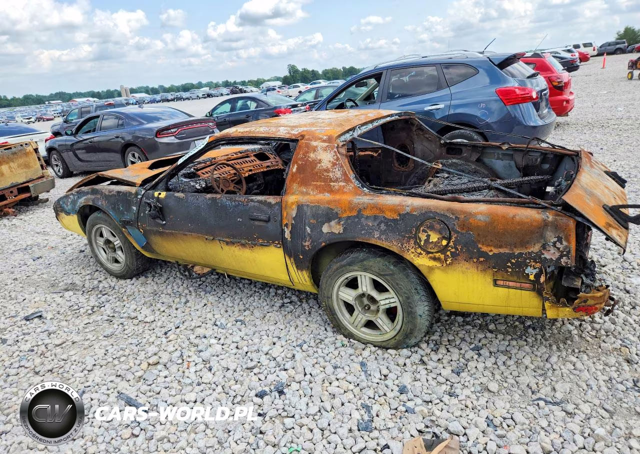 1988 Pontiac Firebird VIN:1G2FS2187JL250487 - 2