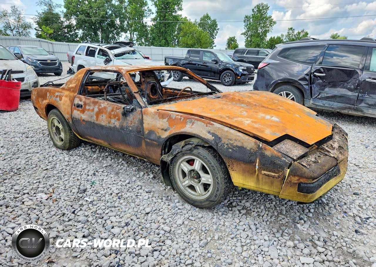 1988 Pontiac Firebird VIN:1G2FS2187JL250487 - 4
