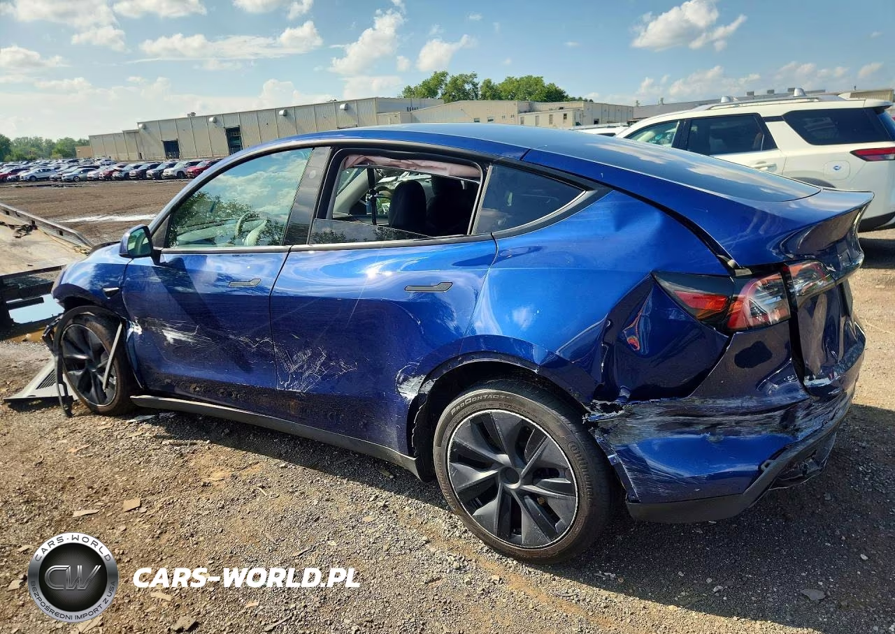 2025 Tesla Model Y VIN:7SAYGAEE0SF260642 - 2
