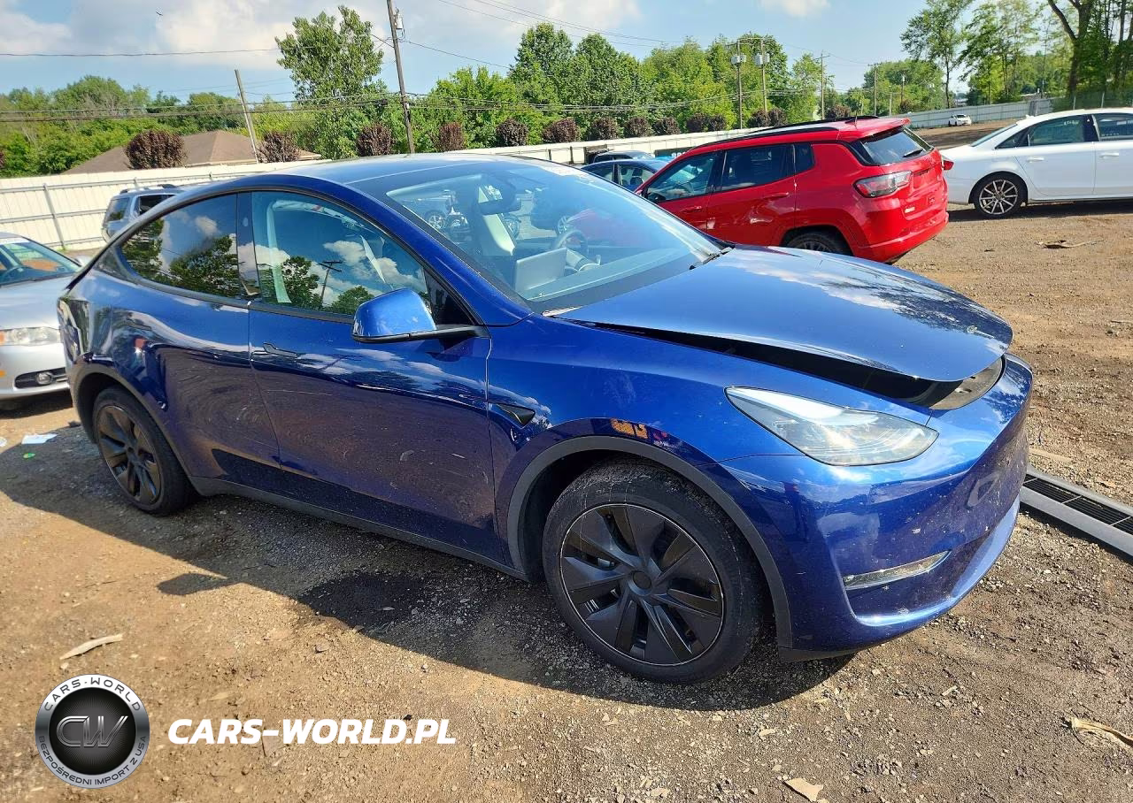 2025 Tesla Model Y VIN:7SAYGAEE0SF260642 - 4