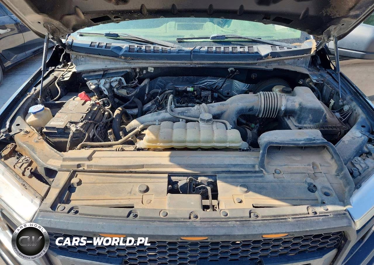 2019 Ford F150 Supercrew VIN:1FTEW1CP8KKC97108 - 11