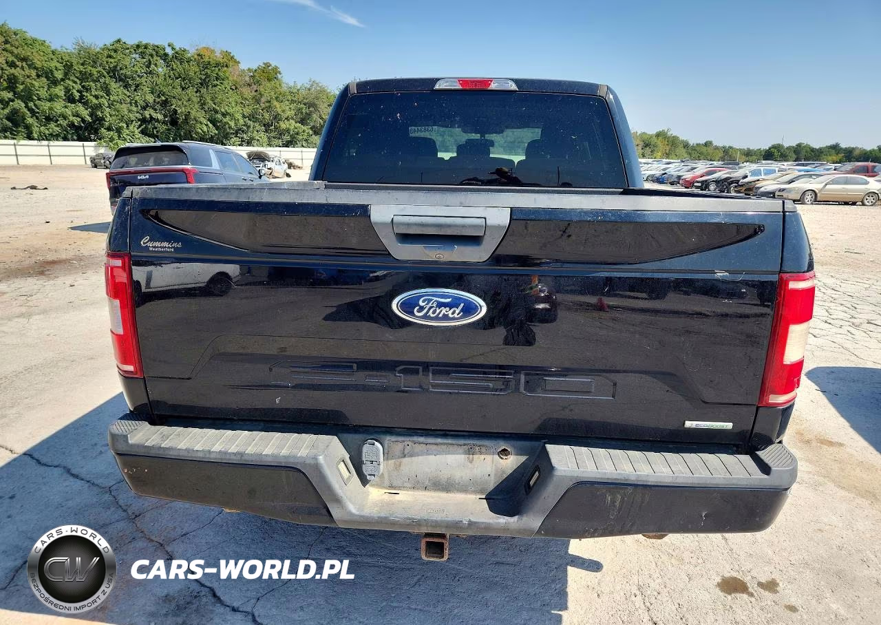 2019 Ford F150 Supercrew VIN:1FTEW1CP8KKC97108 - 6
