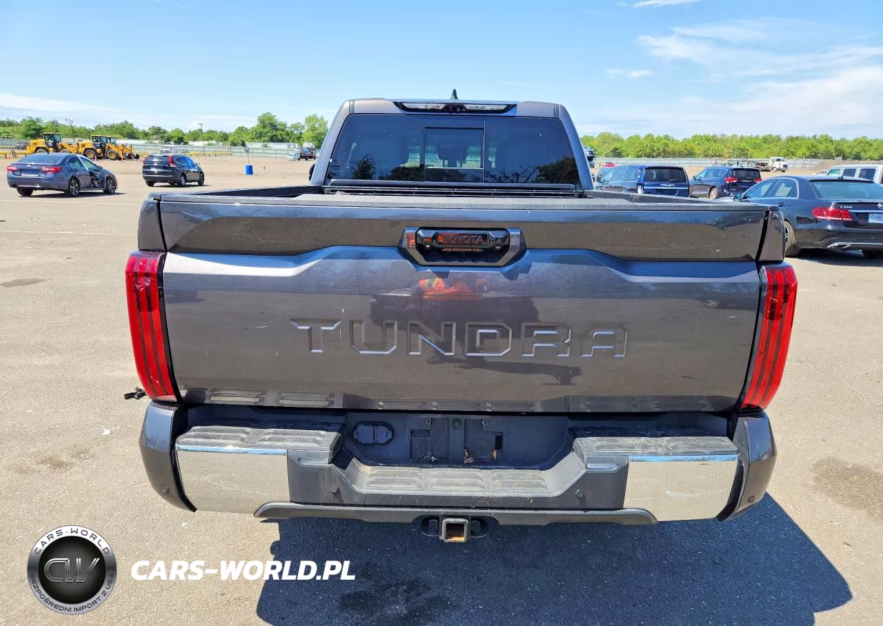 2022 Toyota Tundra Sr5 VIN:5TFLA5AA6NX008049 - 6