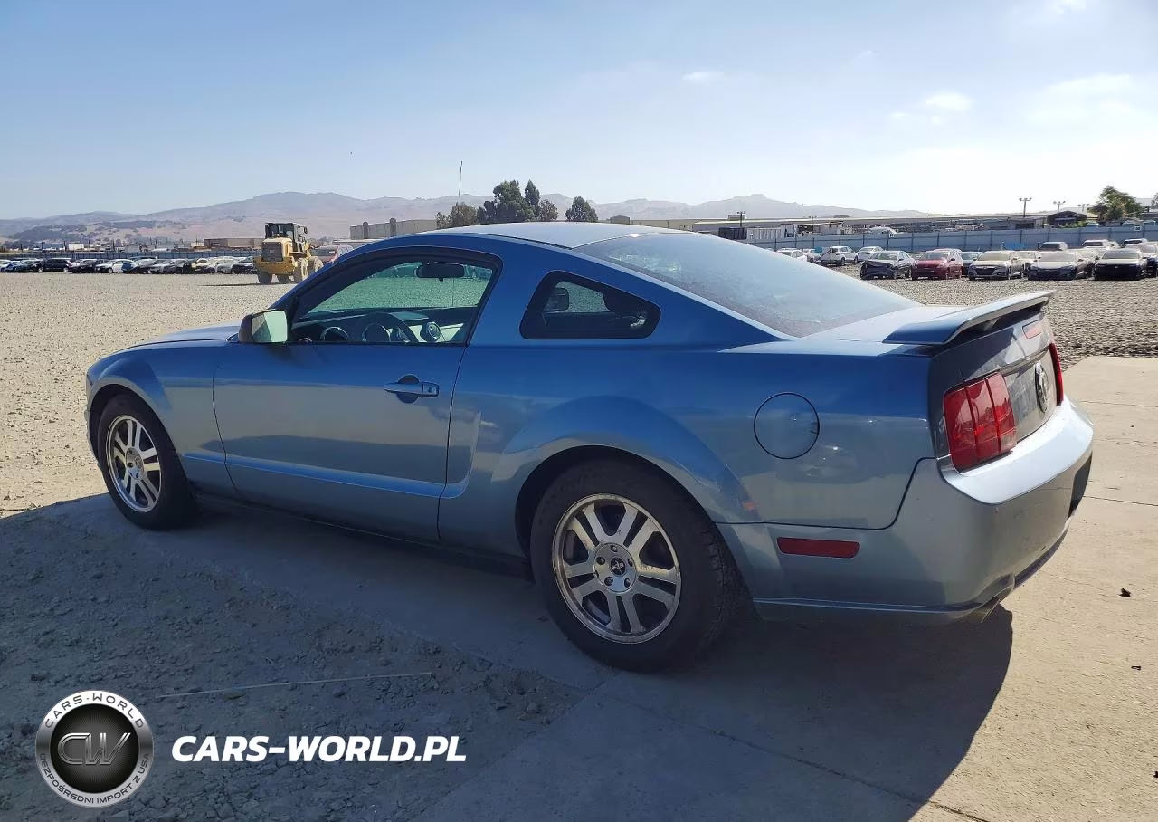 2005 Ford Mustang VIN:1ZVFT80N655137382 - 2