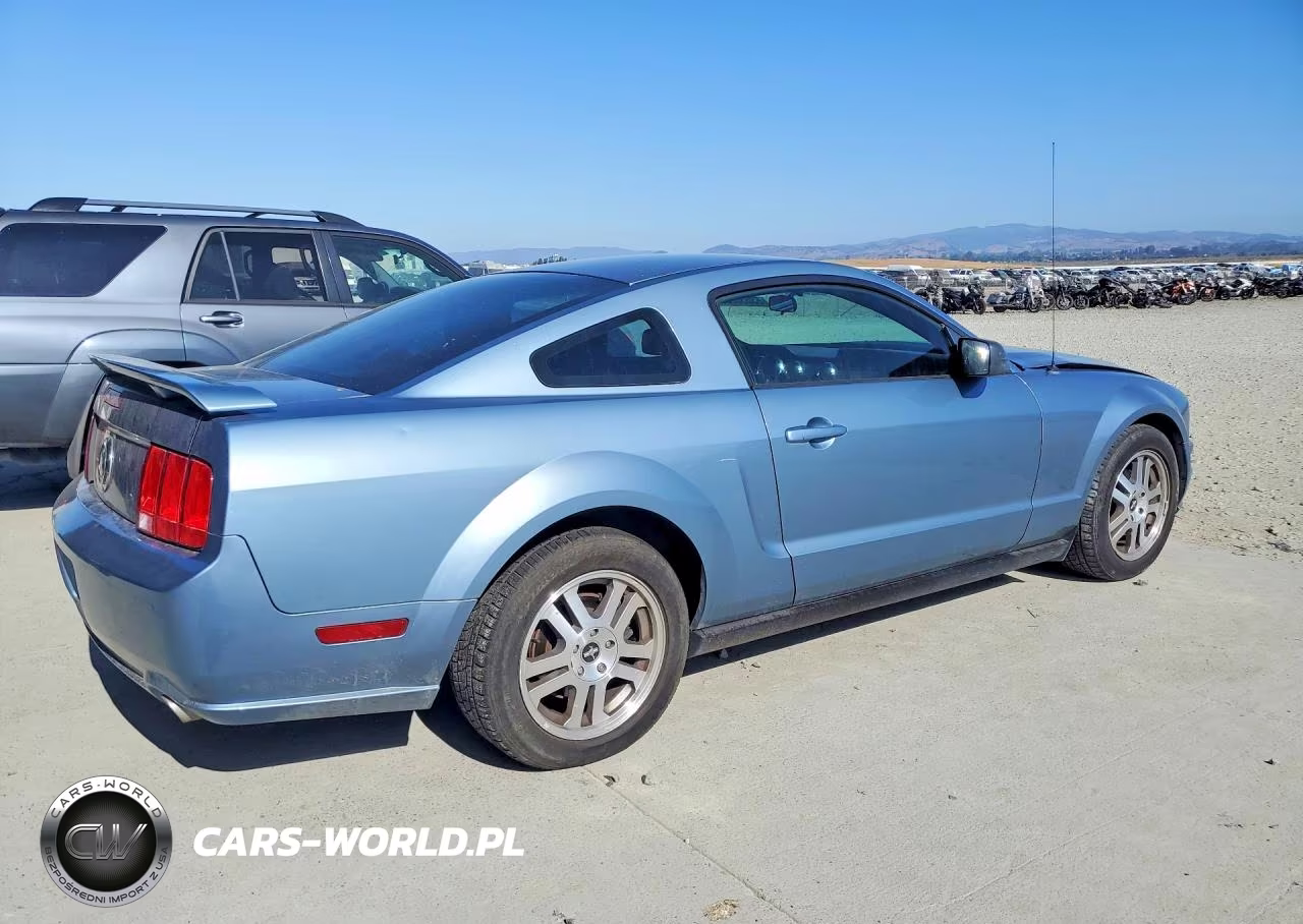 2005 Ford Mustang VIN:1ZVFT80N655137382 - 3