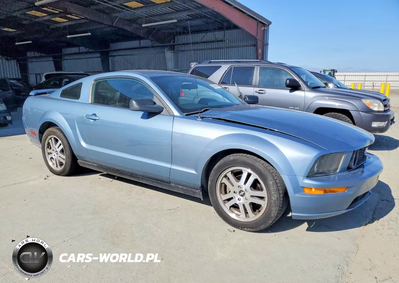 2005 Ford Mustang VIN:1ZVFT80N655137382 - 4