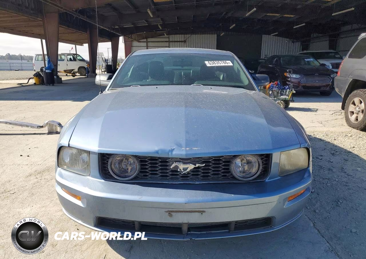 2005 Ford Mustang VIN:1ZVFT80N655137382 - 5