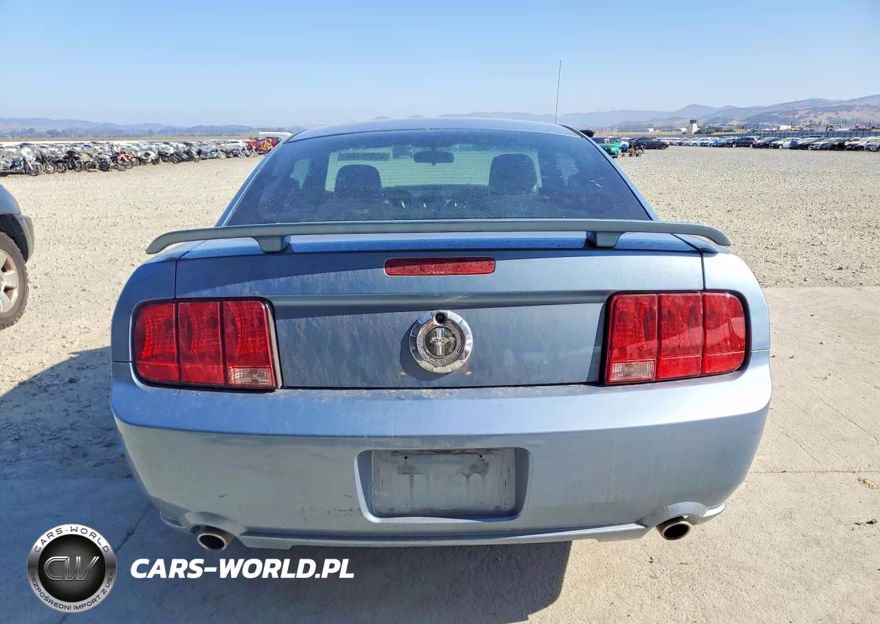 2005 Ford Mustang VIN:1ZVFT80N655137382 - 6
