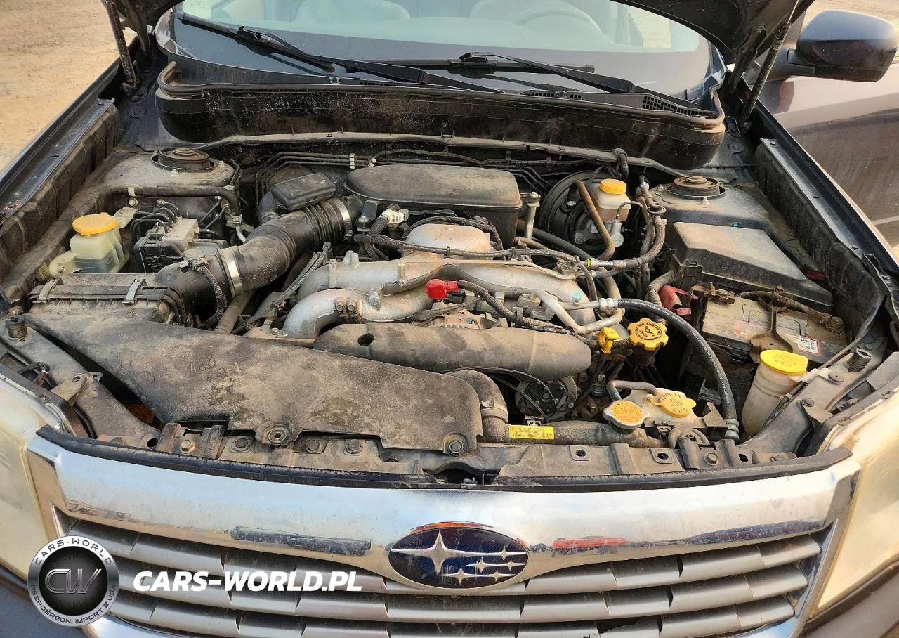 2010 Subaru Forester 2.5X Premium VIN:JF2SH6CCXAH807110 - 11