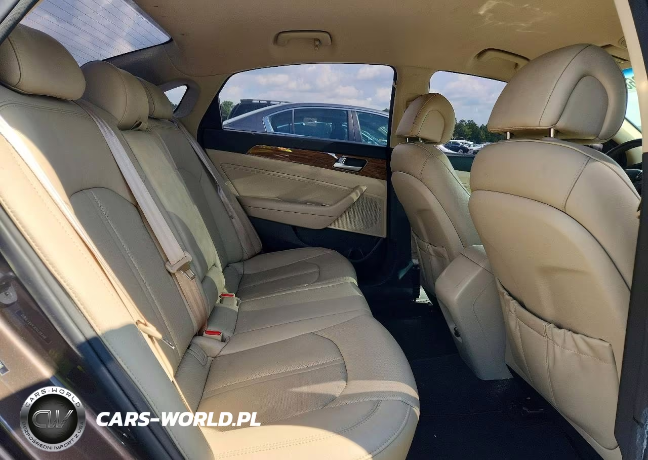 2015 Hyundai Sonata Eco VIN:5NPE24AA3FH159346 - 10