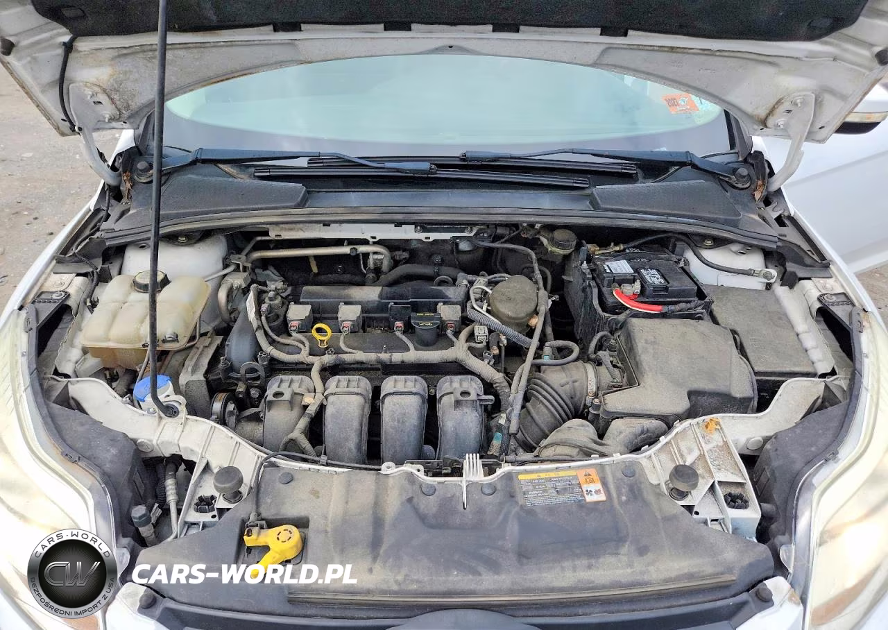 2013 Ford Focus Se VIN:1FADP3F24DL349955 - 11
