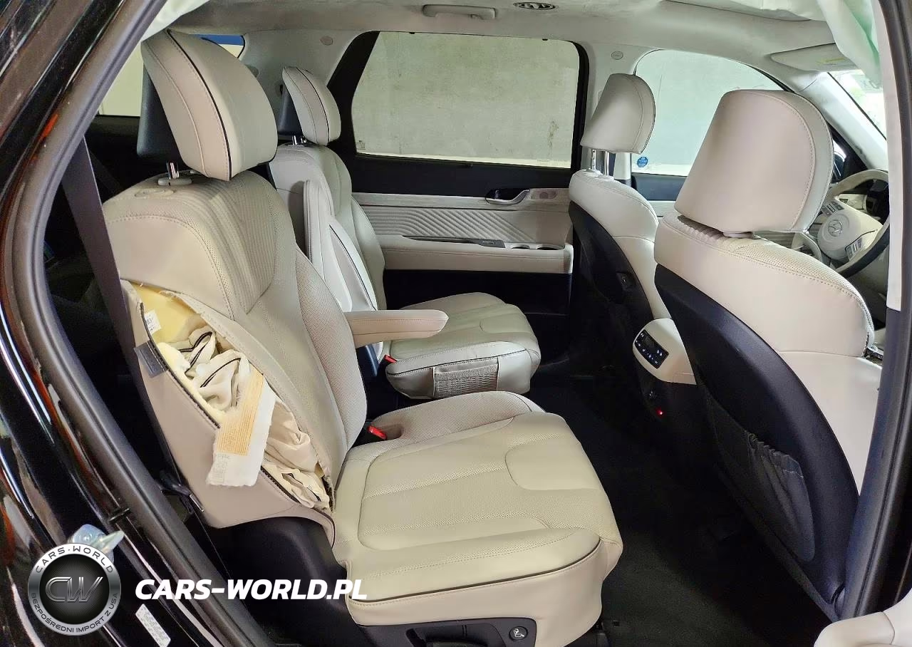 2024 Hyundai Palisade Calligraphy VIN:KM8R7DGE4RU658658 - 11