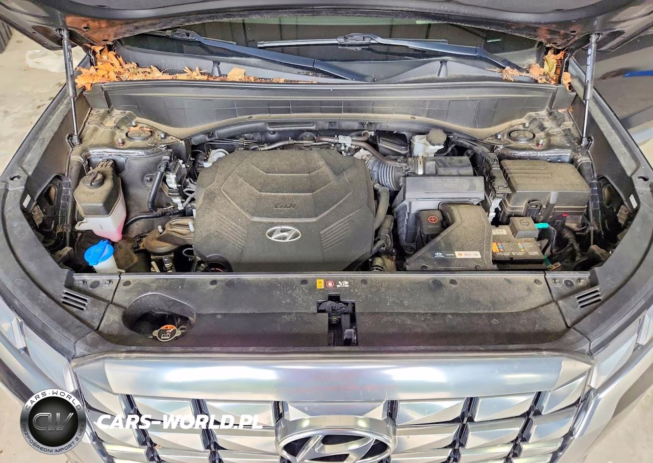 2024 Hyundai Palisade Calligraphy VIN:KM8R7DGE4RU658658 - 12