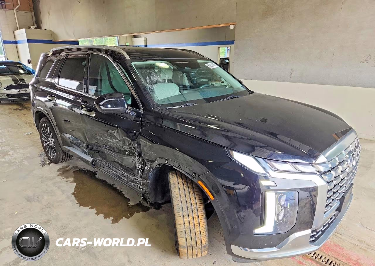 2024 Hyundai Palisade Calligraphy VIN:KM8R7DGE4RU658658 - 4