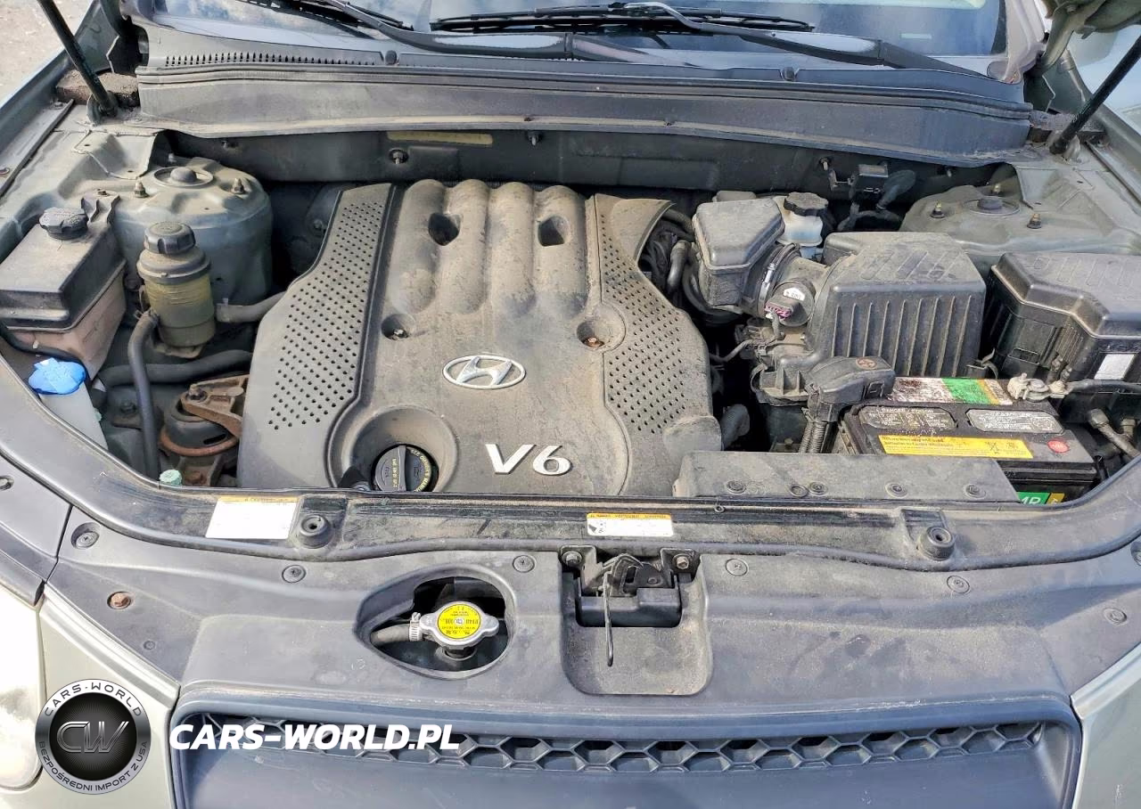 2008 Hyundai Santa Fe Gls VIN:5NMSG13D28H178884 - 12