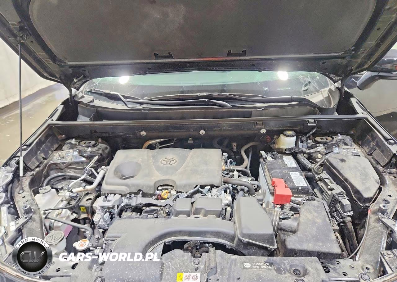 2025 Toyota Rav4 Xle VIN:2T3P1RFV0SW543656 - 12
