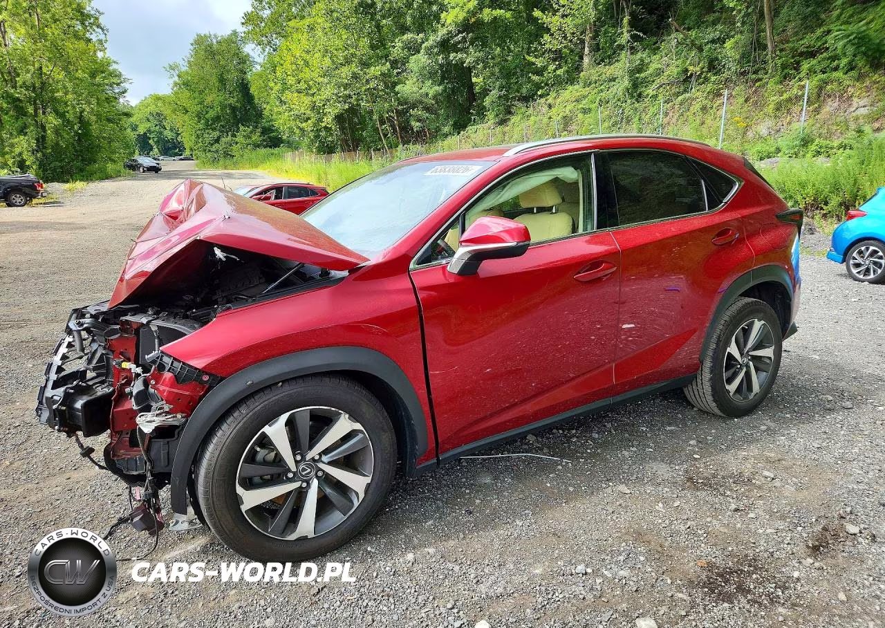 2018 Lexus Nx 300 Base VIN:JTJBARBZXJ2151114 - 1