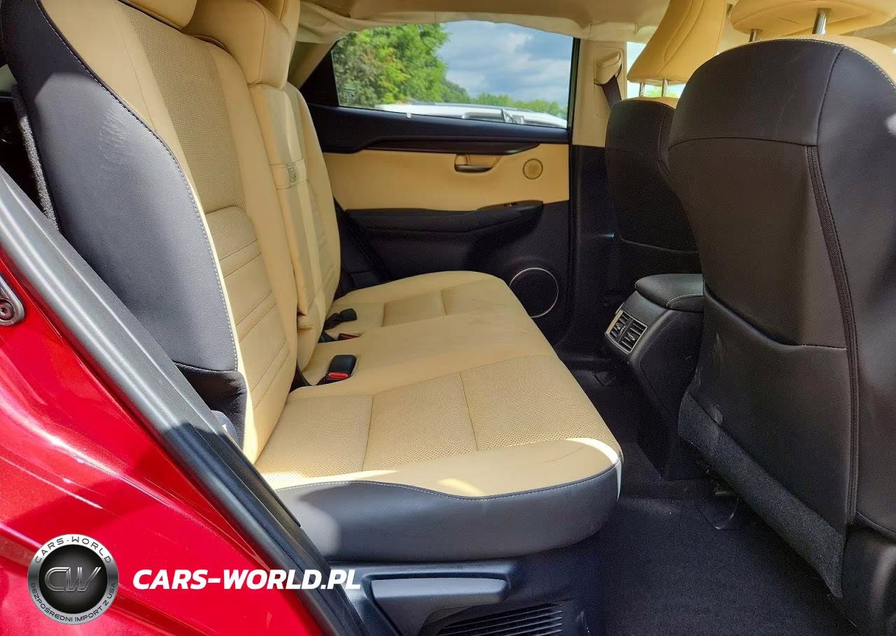2018 Lexus Nx 300 Base VIN:JTJBARBZXJ2151114 - 11