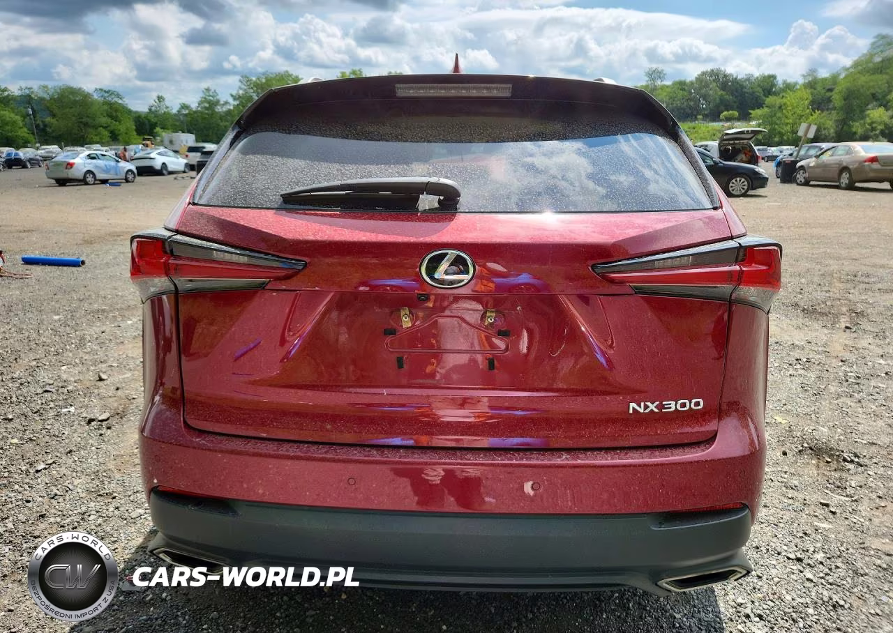 2018 Lexus Nx 300 Base VIN:JTJBARBZXJ2151114 - 6