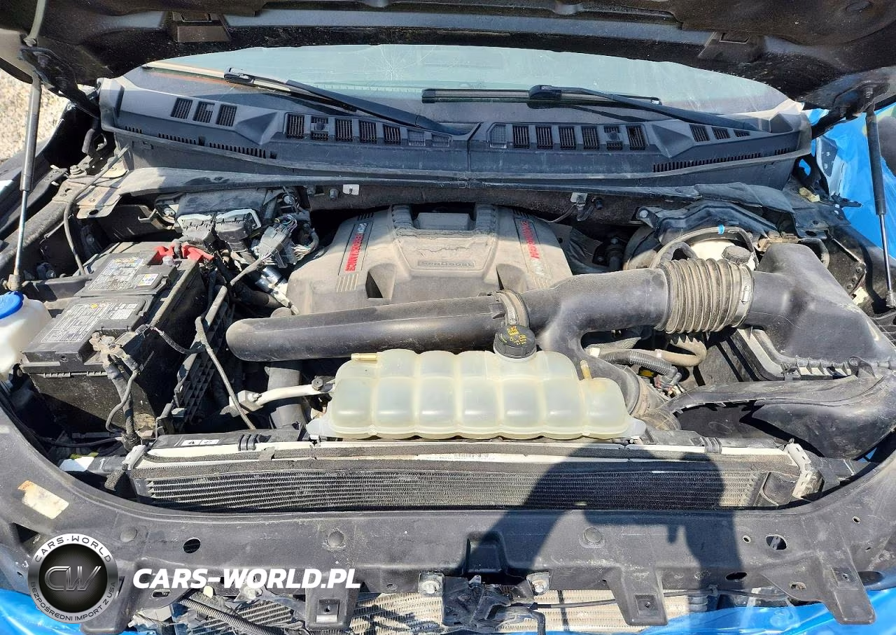 2020 Ford F-150 Raptor VIN:1FTFW1RGXLFA37816 - 11