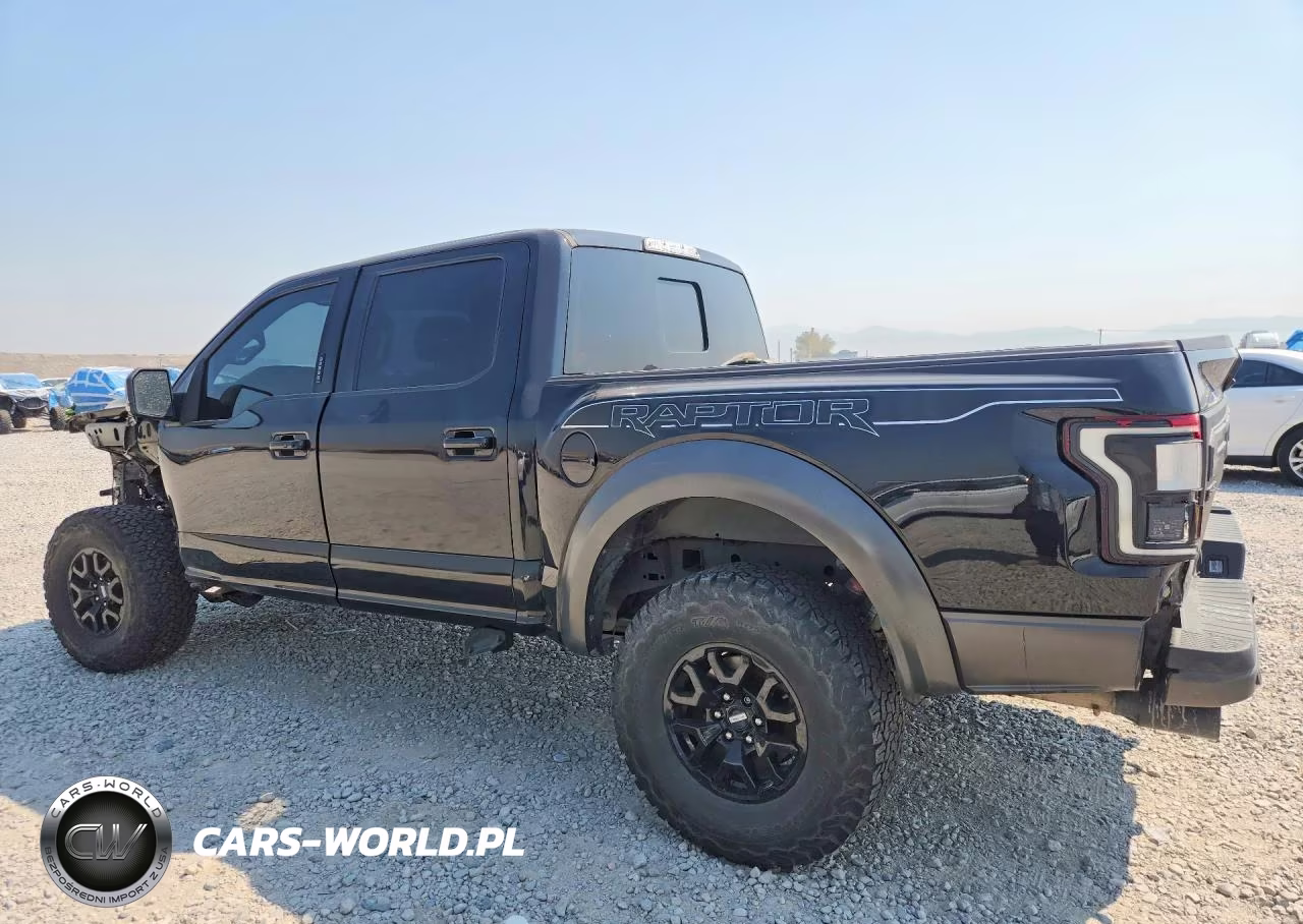 2020 Ford F-150 Raptor VIN:1FTFW1RGXLFA37816 - 2