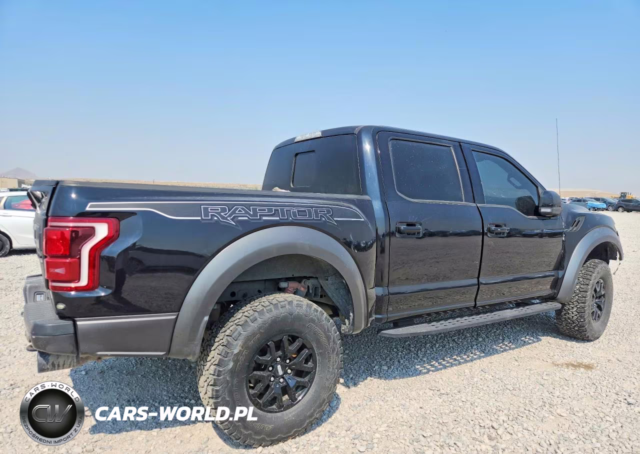 2020 Ford F-150 Raptor VIN:1FTFW1RGXLFA37816 - 3