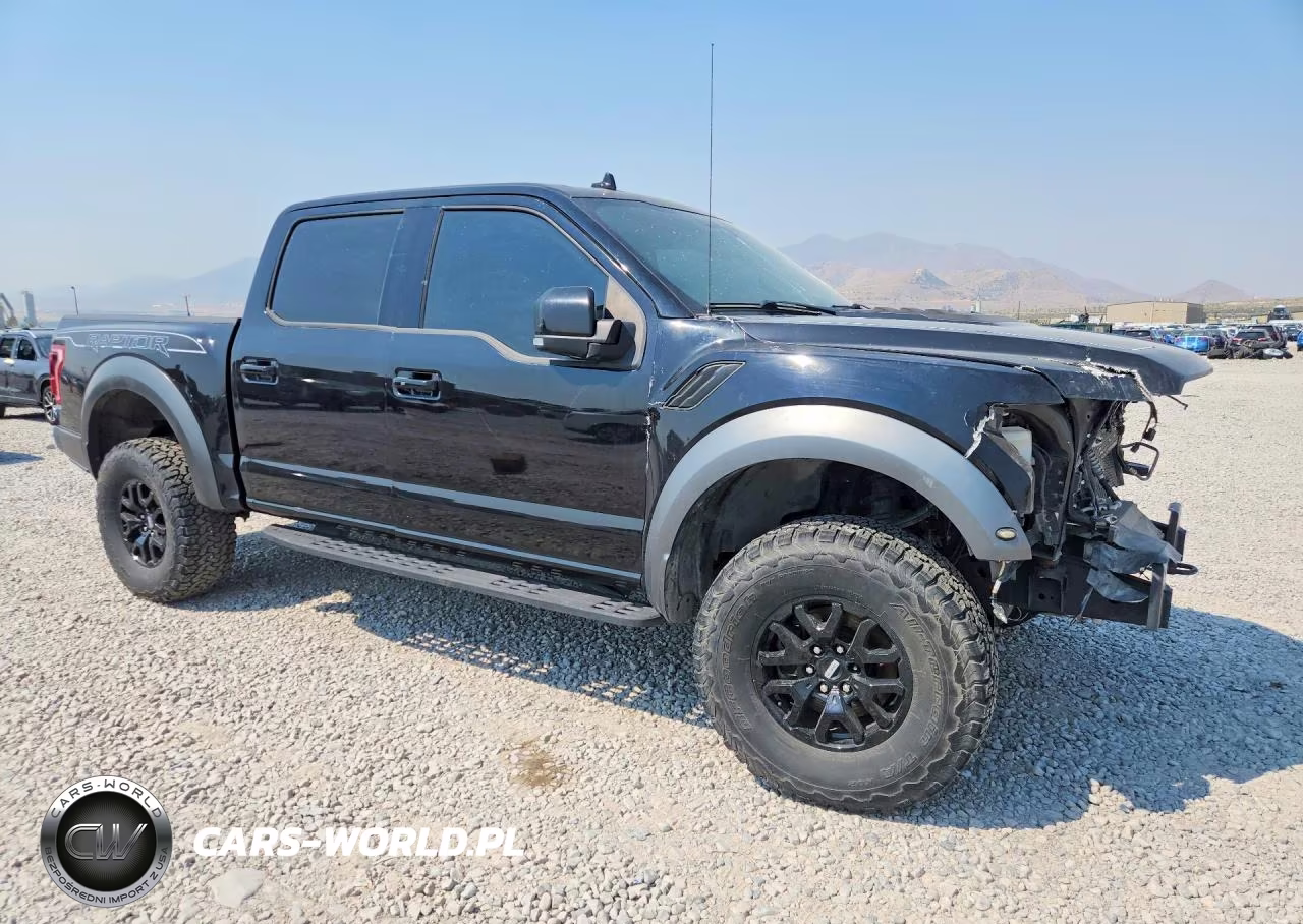 2020 Ford F-150 Raptor VIN:1FTFW1RGXLFA37816 - 4