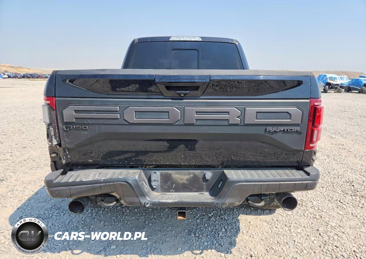 2020 Ford F-150 Raptor VIN:1FTFW1RGXLFA37816 - 6