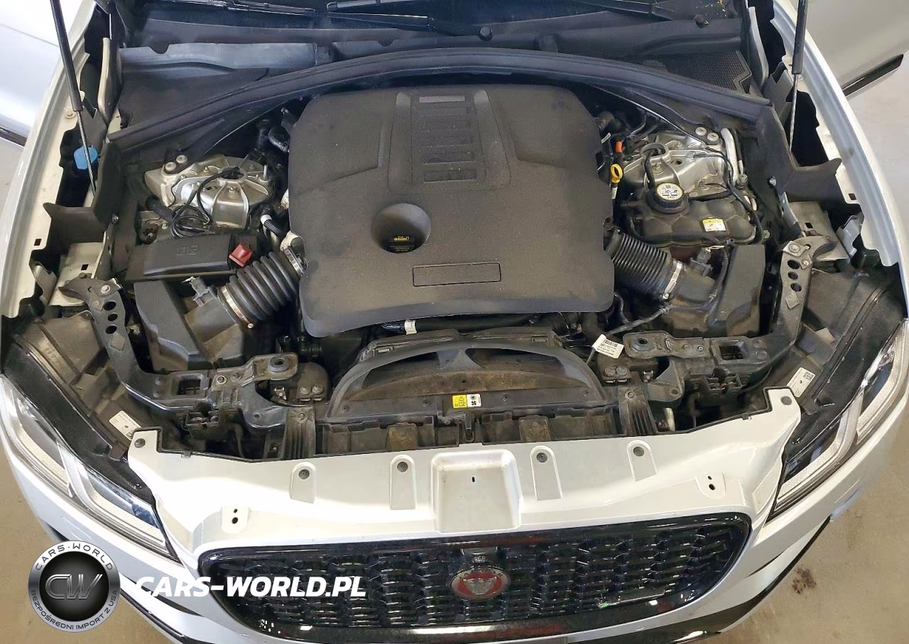 2021 Jaguar F-Pace R-Dynamic S VIN:SADCT2FU8MA668515 - 12