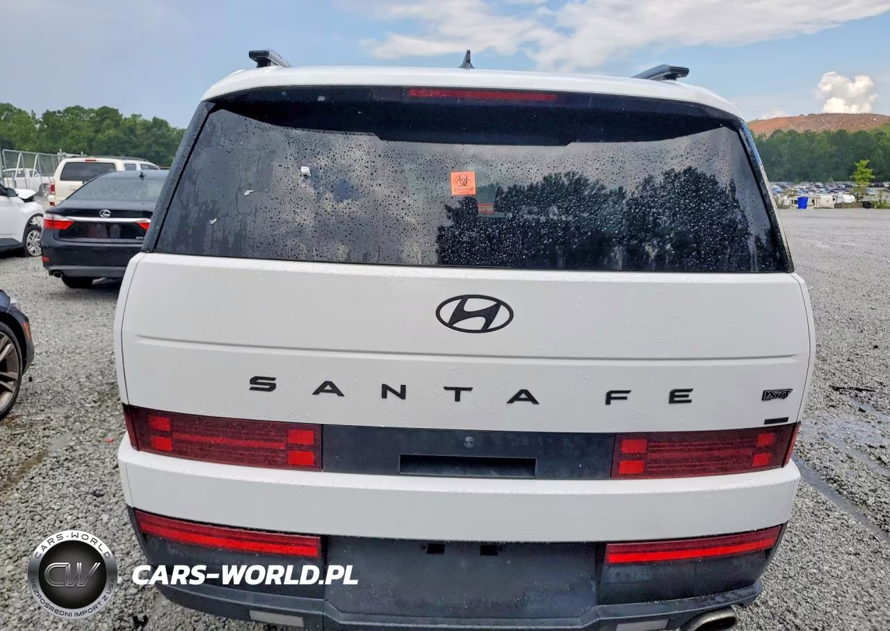2024 Hyundai Santa Fe Xrt VIN:5NMP3DGL8RH052874 - 6