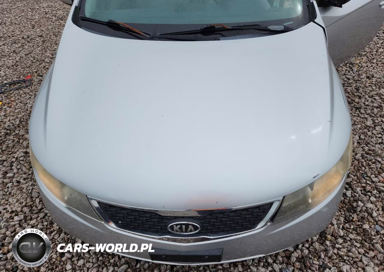 2011 Kia Forte Ex VIN:KNAFU4A26B5374430 - 11