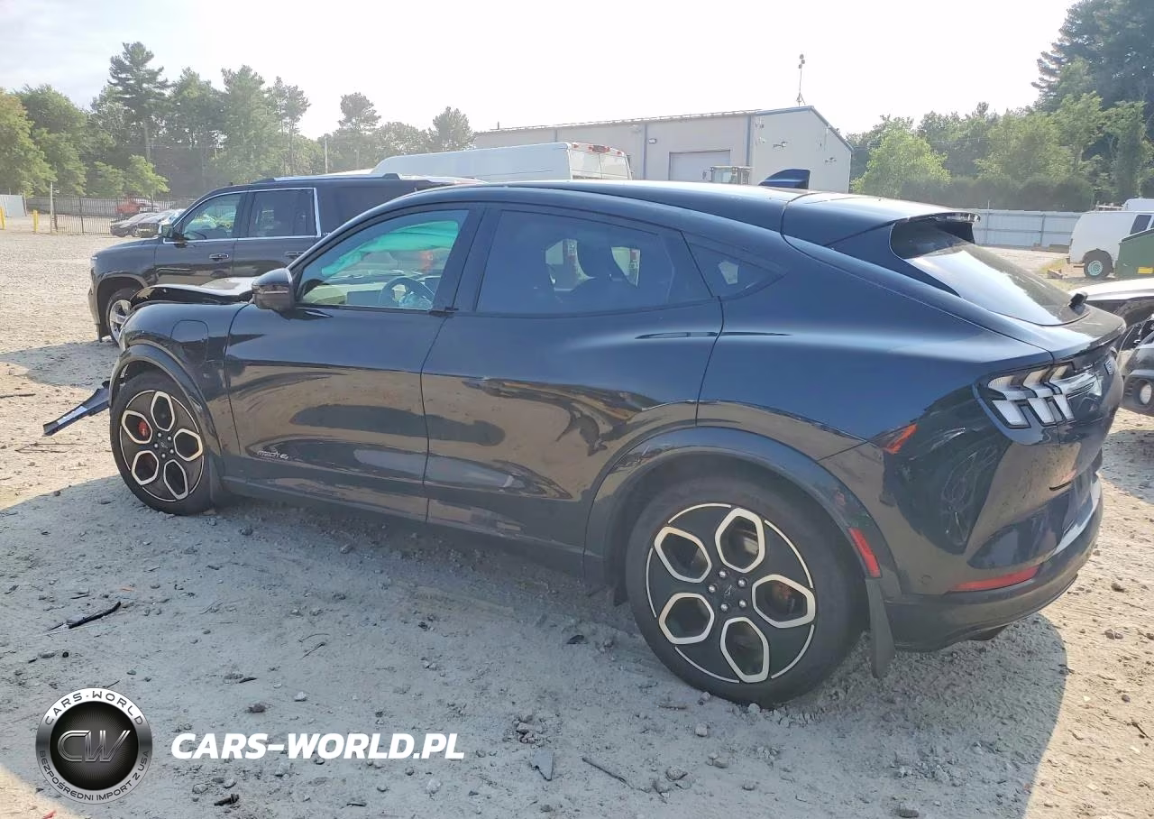 2024 Ford Mustang Mach-E Gt VIN:3FMTK4SX2RMA11242 - 2