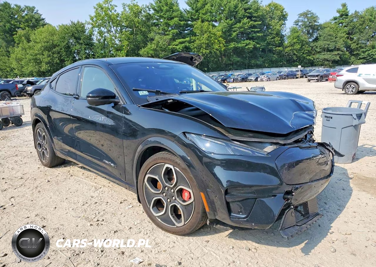 2024 Ford Mustang Mach-E Gt VIN:3FMTK4SX2RMA11242 - 4