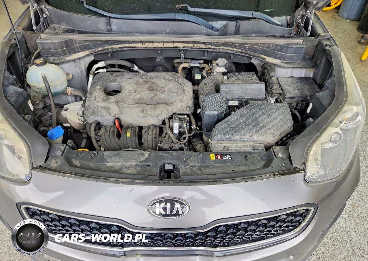 2018 Kia Sportage Lx VIN:KNDPM3AC2J7380660 - 12