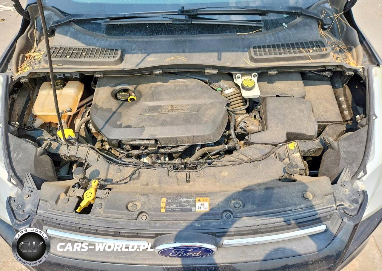 2015 Ford Escape Se VIN:1FMCU9GX3FUA55869 - 12