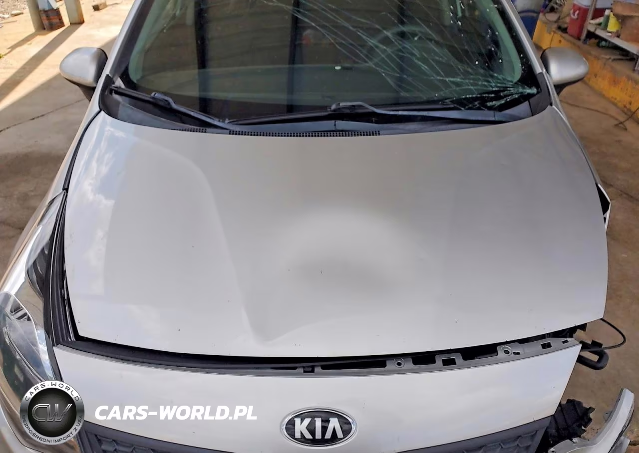 2017 Kia Rio Lx VIN:KNADM4A3XH6049394 - 11
