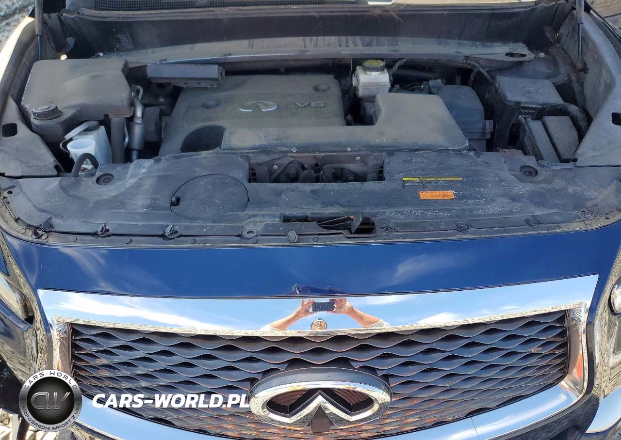 2016 Infiniti Qx60 Base VIN:5N1AL0MM0GC502925 - 12