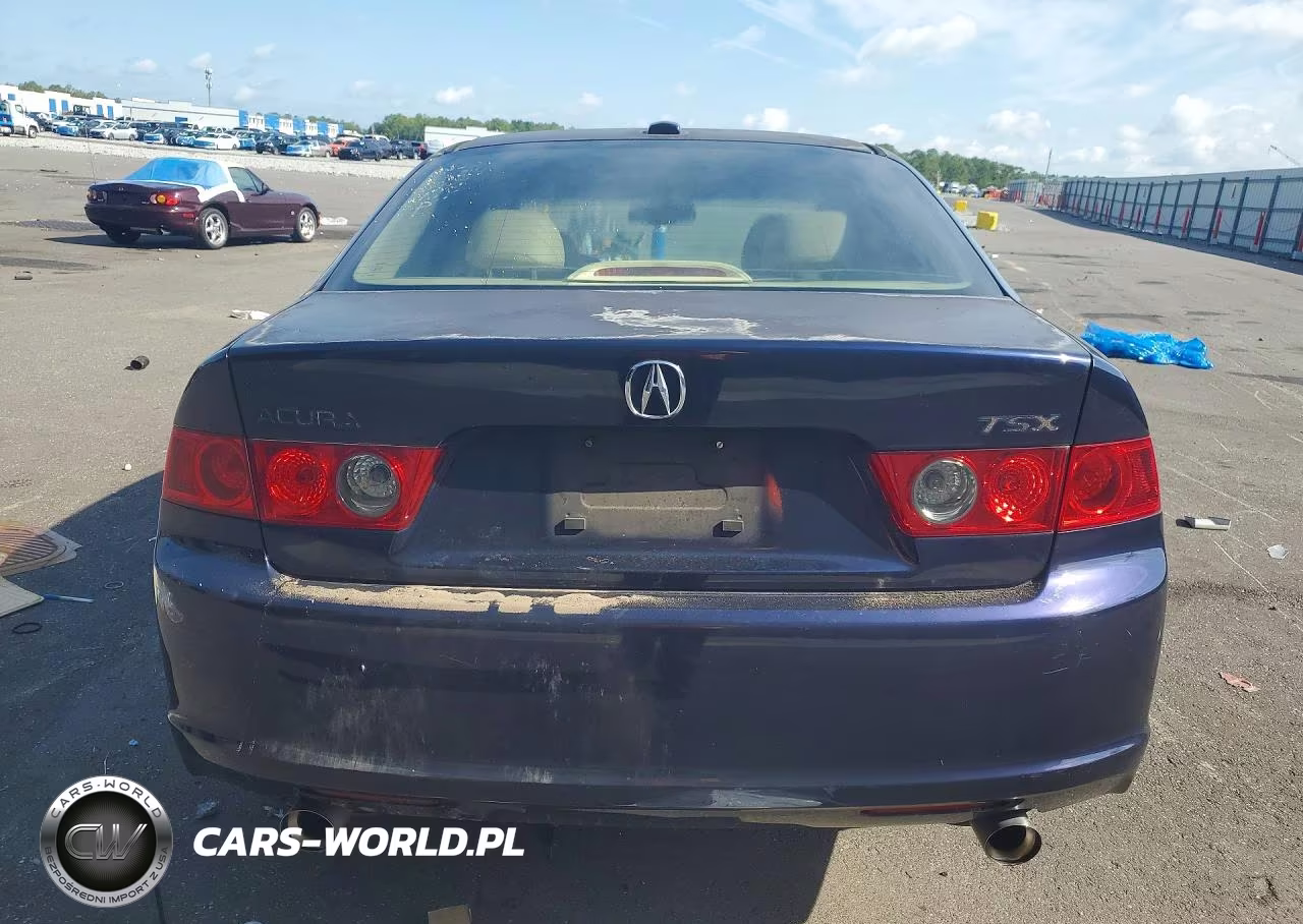 2006 Acura Tsx VIN:JH4CL96826C012324 - 6