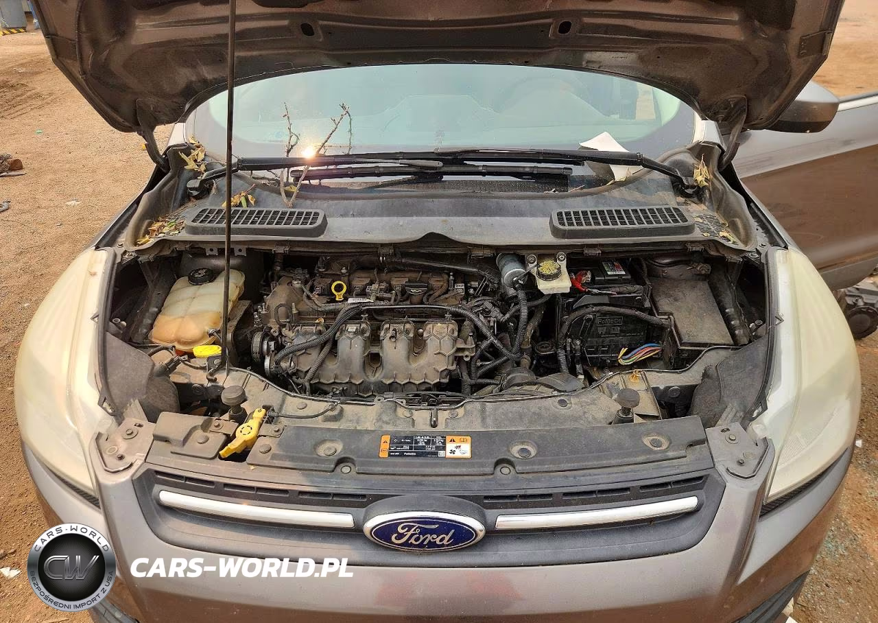 2014 Ford Escape Se VIN:1FMCU9G9XEUC54062 - 11