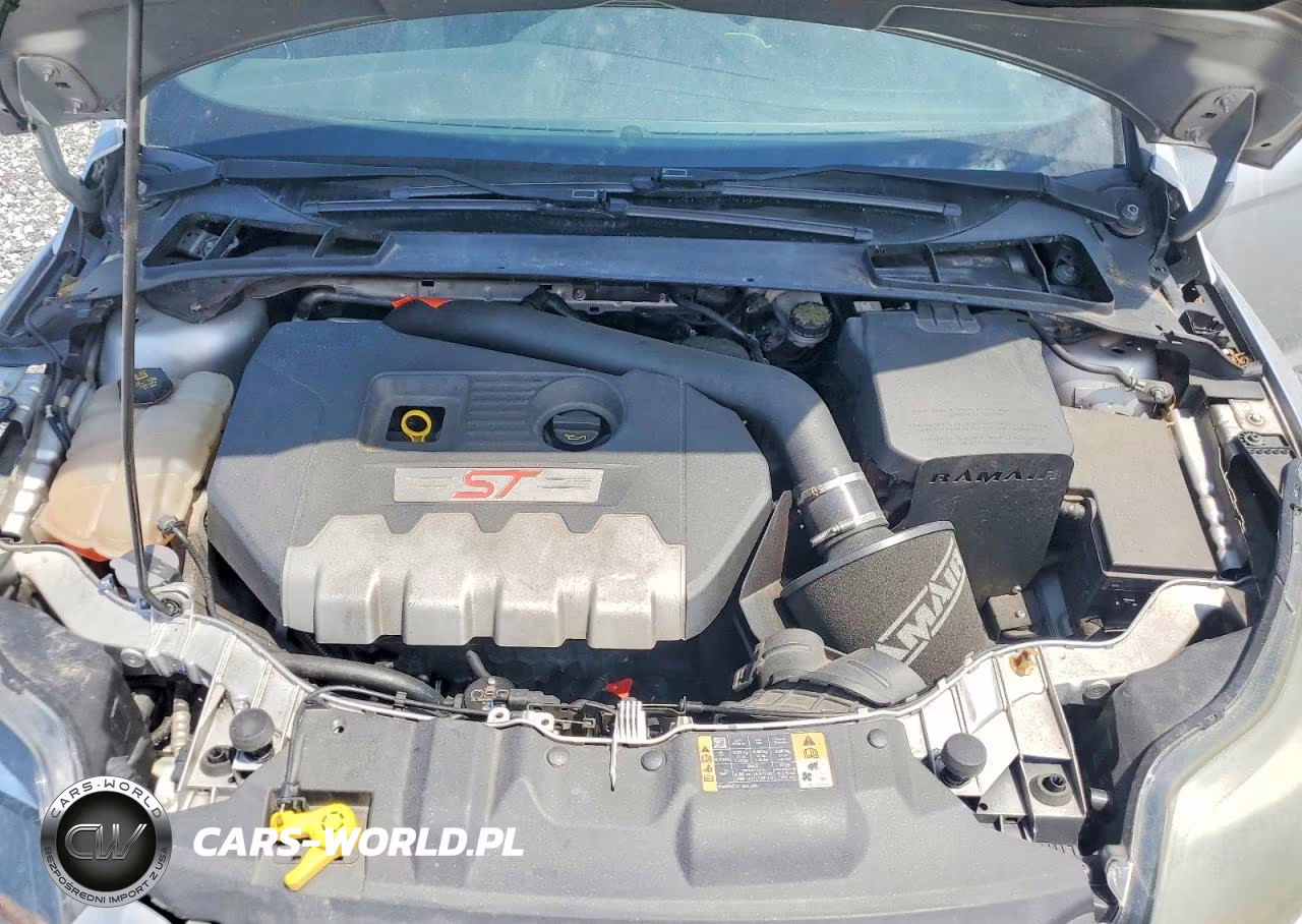 2014 Ford Focus St VIN:1FADP3L96EL268328 - 11