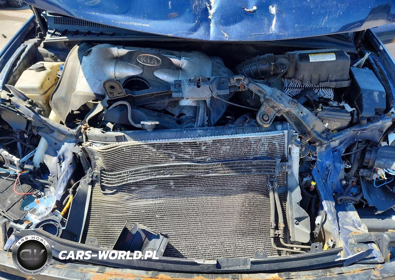 2006 Kia Sedona Lx VIN:KNDMB233066063473 - 12