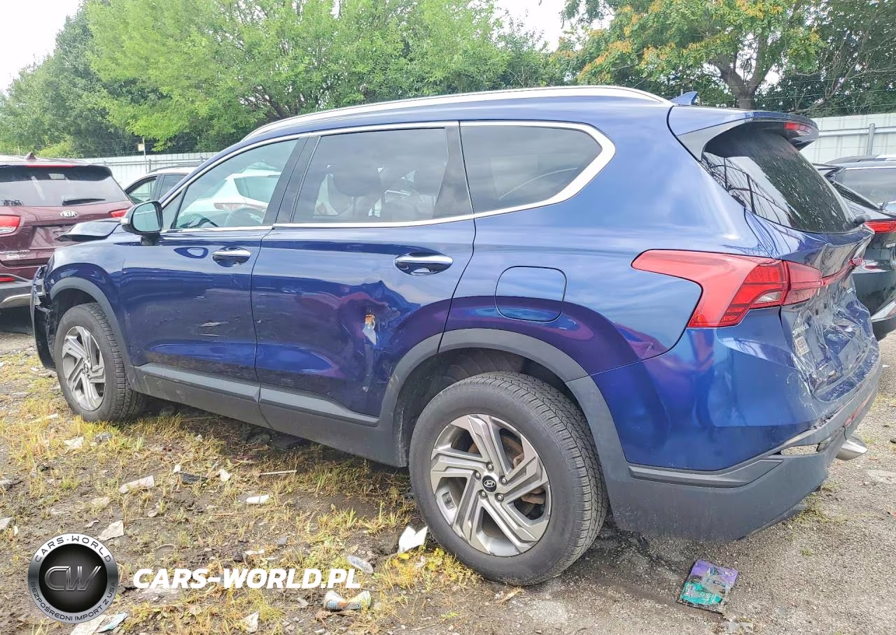 2023 Hyundai Santa Fe Sel VIN:5NMS2DAJ3PH528921 - 2