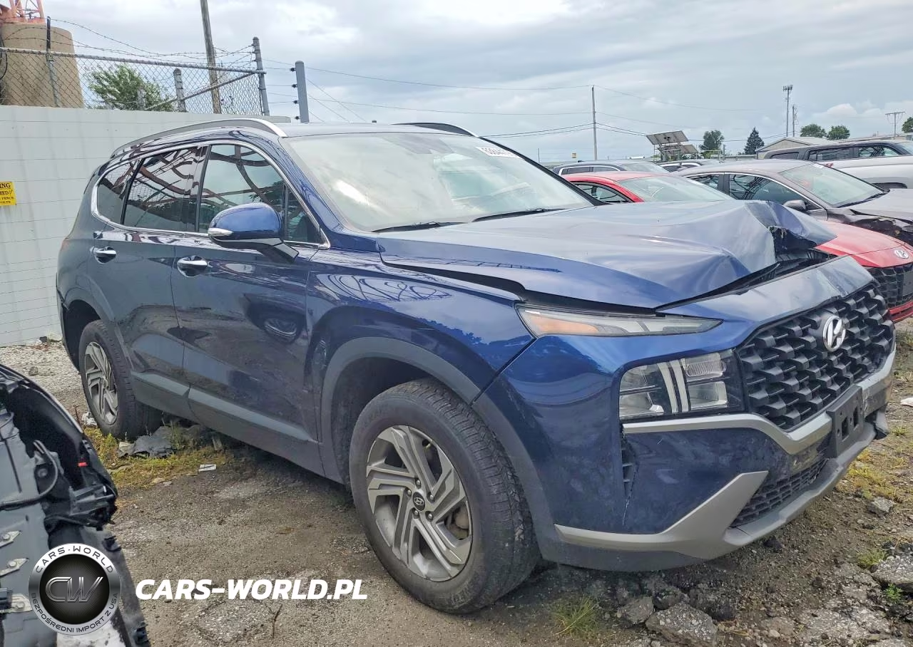 2023 Hyundai Santa Fe Sel VIN:5NMS2DAJ3PH528921 - 4