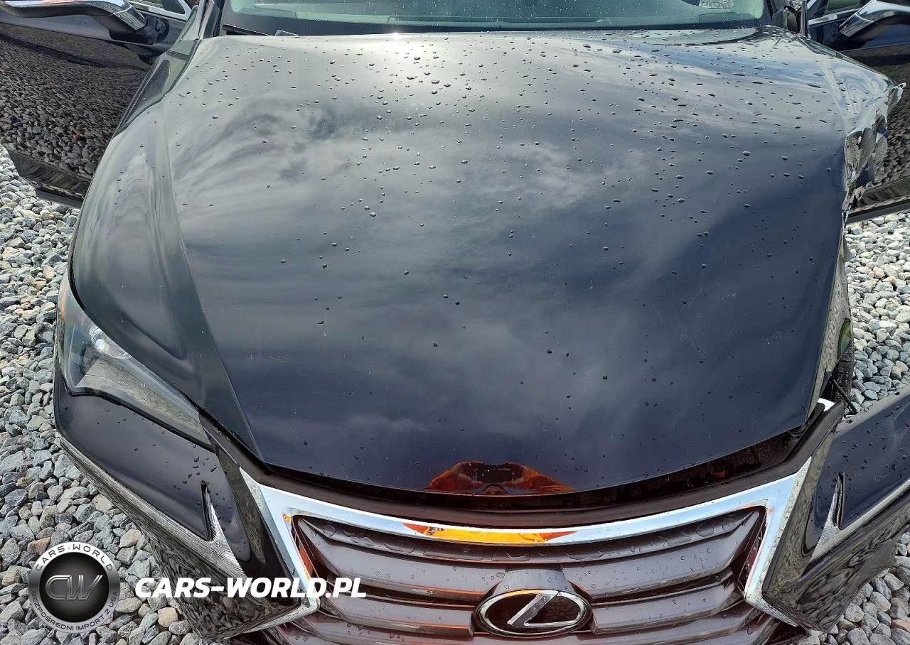 2017 Lexus Nx 200T Base VIN:JTJYARBZ7H2065439 - 11