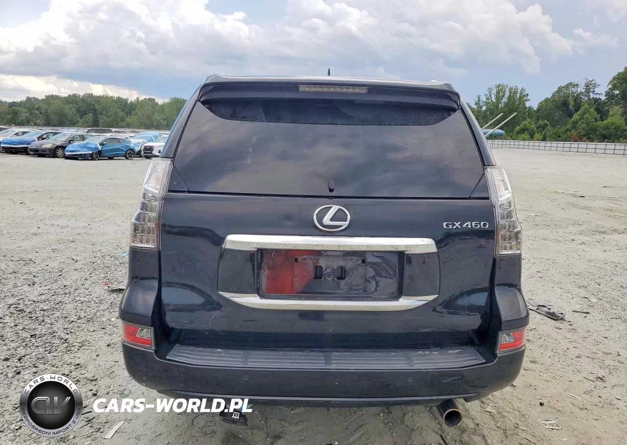 2016 Lexus Gx 460 Premium VIN:JTJJM7FX9G5130326 - 6