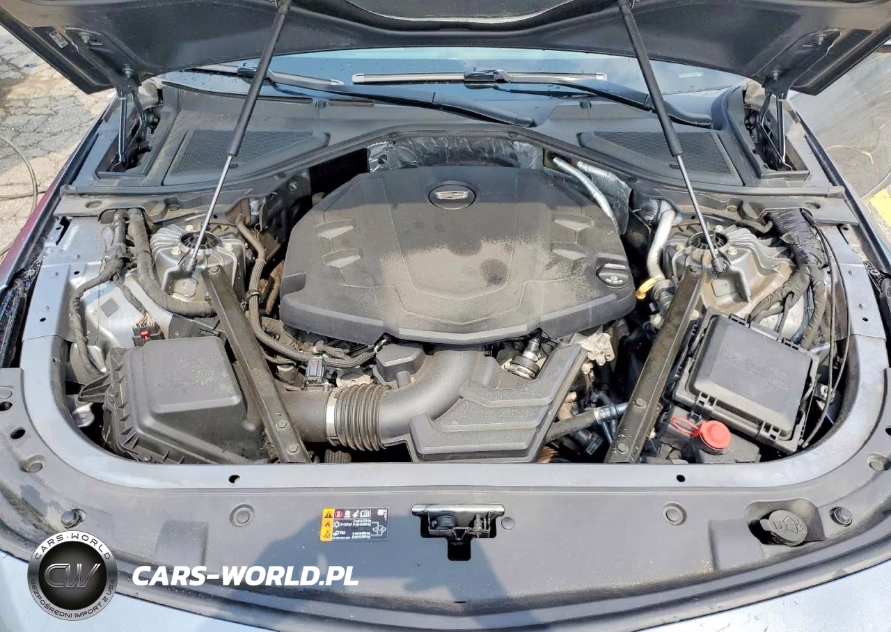 2019 Cadillac Ct6 Luxury VIN:1G6KB5RS4KU123853 - 11