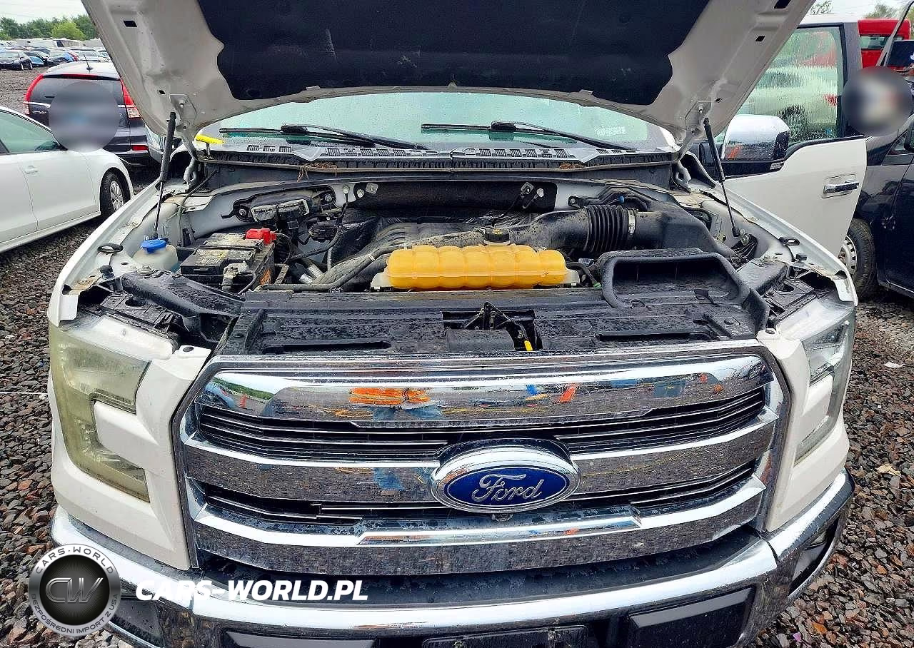 2015 Ford F150 Supercrew VIN:1FTEW1EG9FFA05039 - 11
