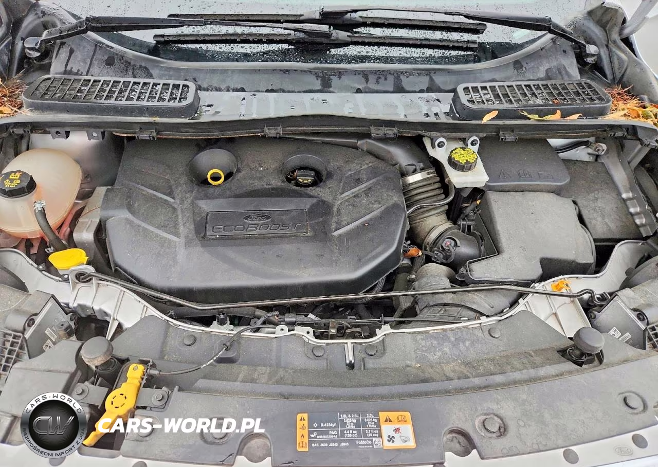 2019 Ford Escape Titanium VIN:1FMCU9J91KUA71279 - 12